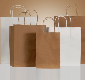 Classic Paper Bag