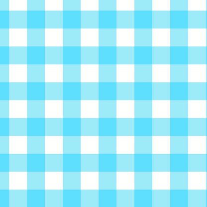 blue gingham